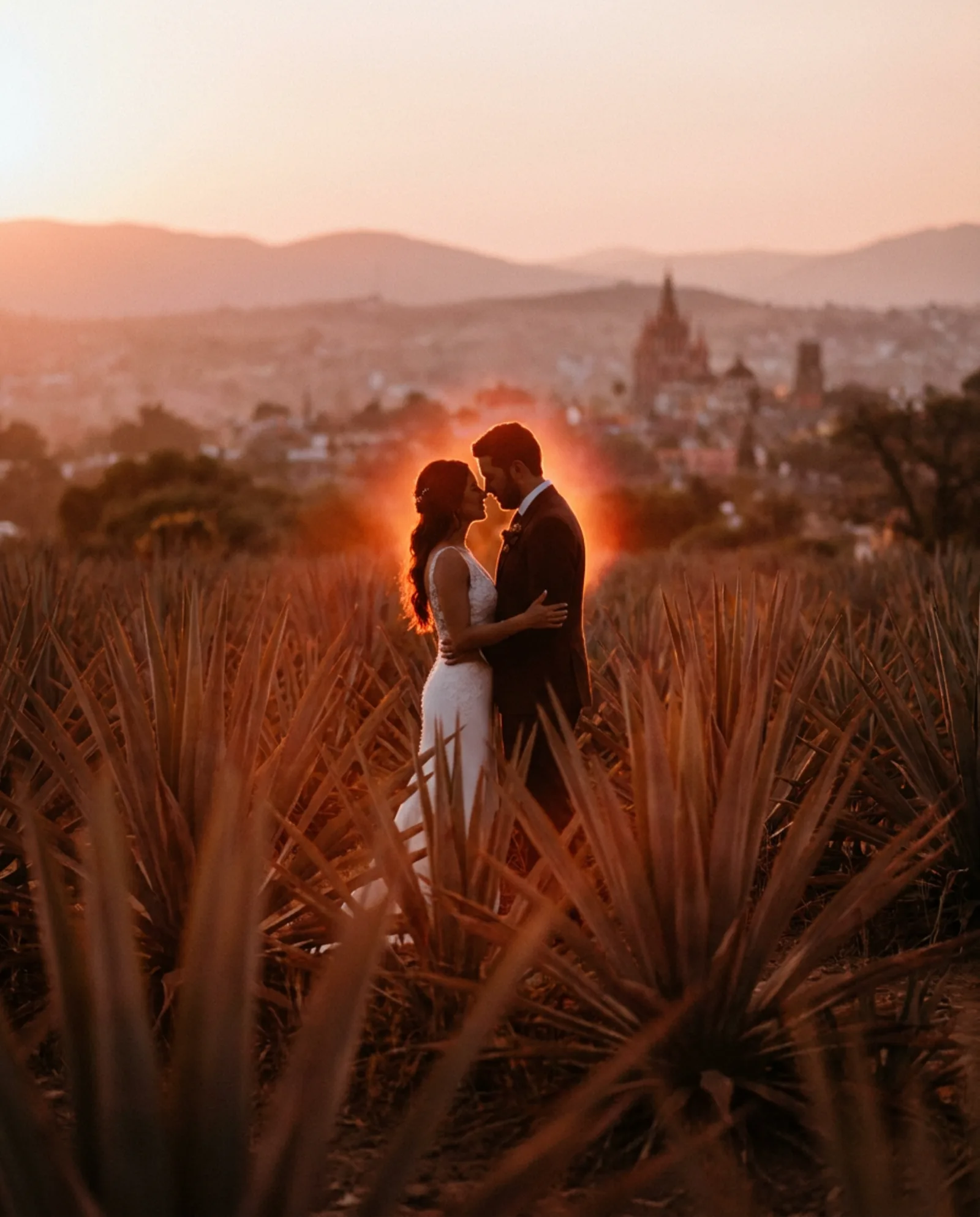 Camila y Rodrigo caminando al atardecer en un campo de agaves
